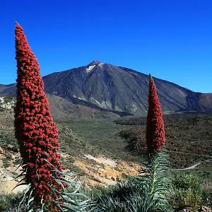 Casa Ivonne - San Isidro San Isidro (Tenerife)